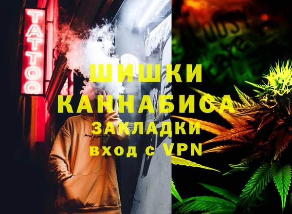 spice Алзамай