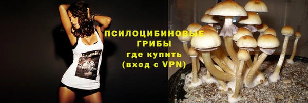 spice Алзамай
