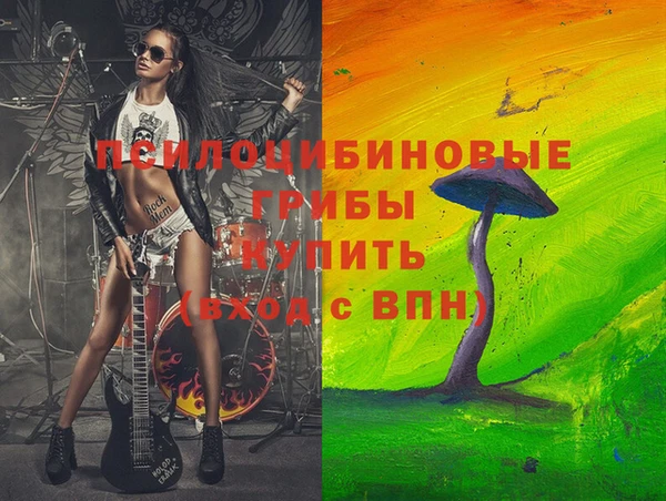 spice Алзамай