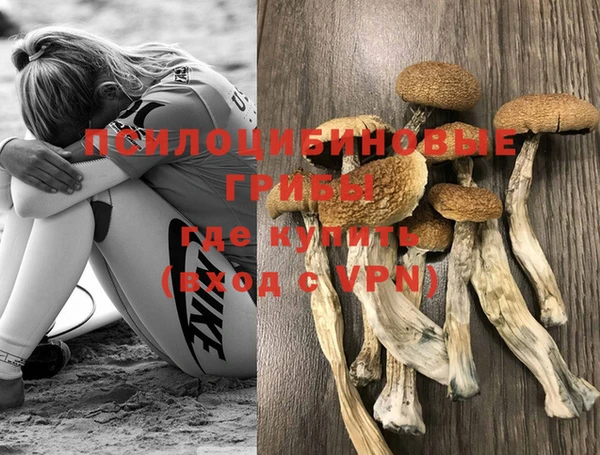 spice Алзамай