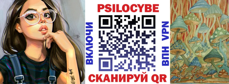 Псилоцибиновые грибы Psilocybe  shop официальный сайт  Лермонтов 